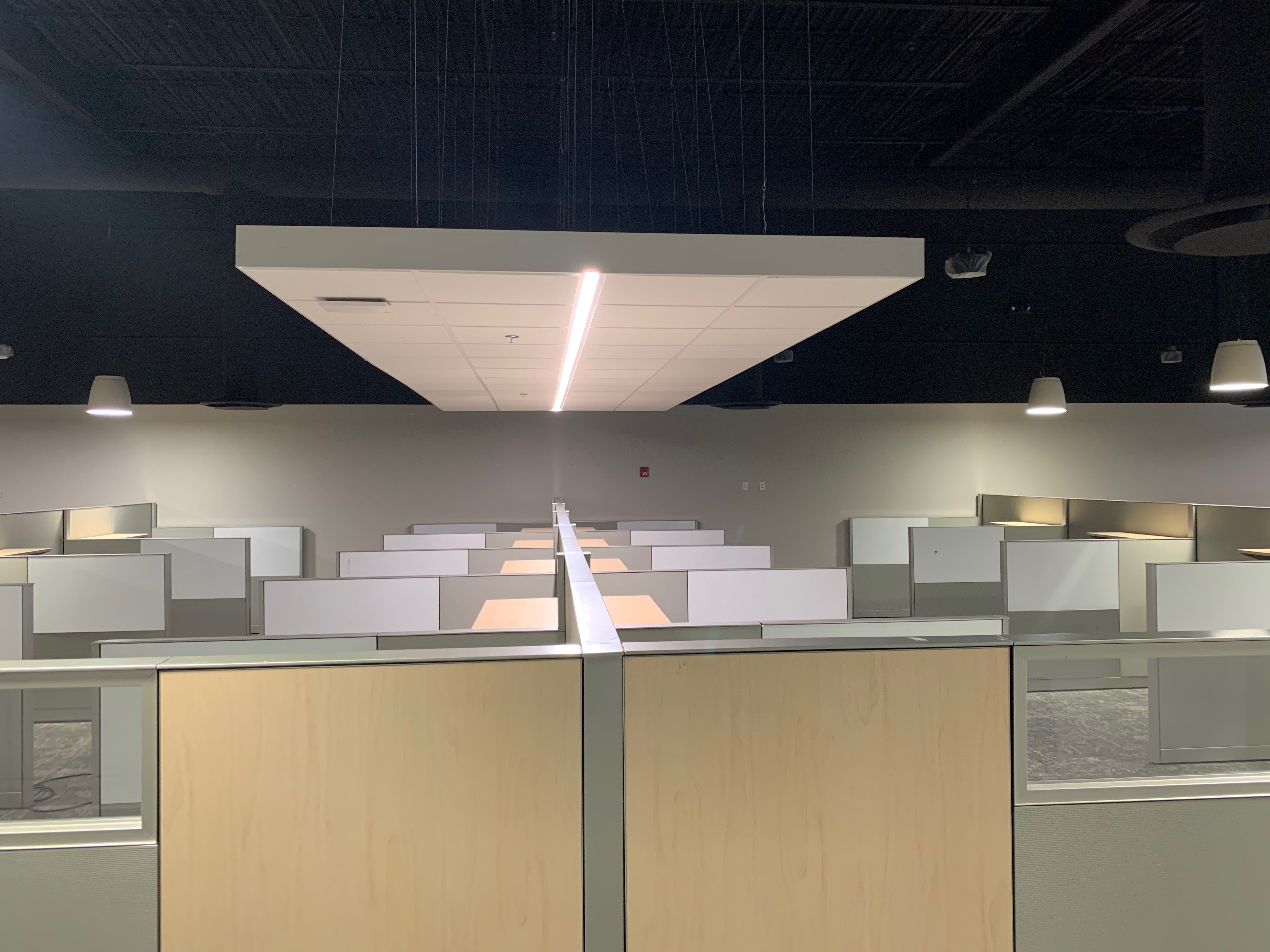 Open-plan office with rows of gray cubicle workstations and glass topper panels