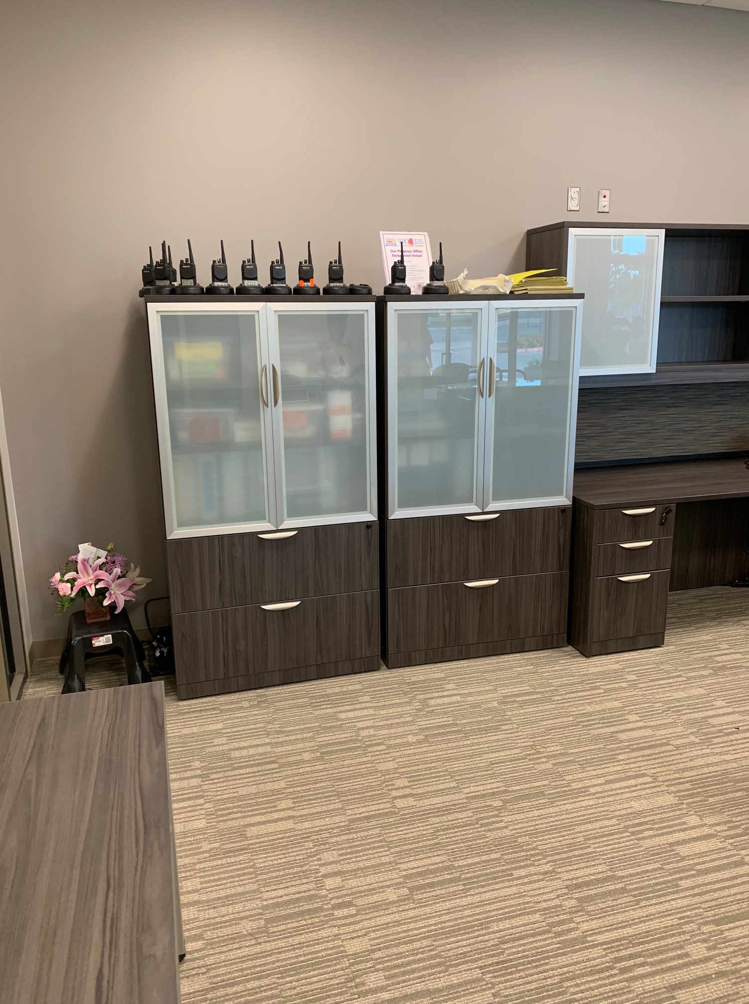 Office storage cabinets and lateral files with frosted-glass upper doors